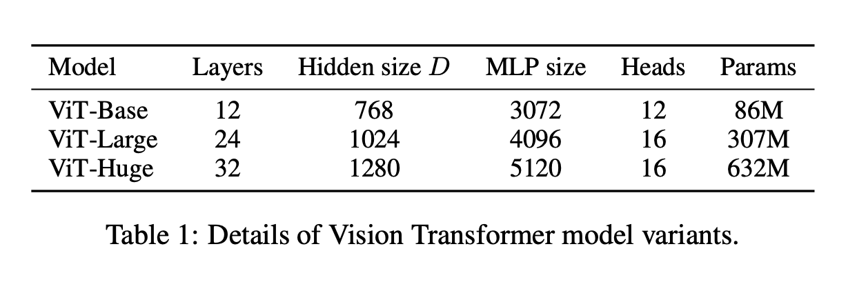 ViT Model Variant