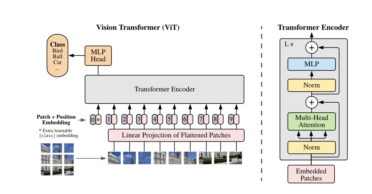 ViT Model Structure